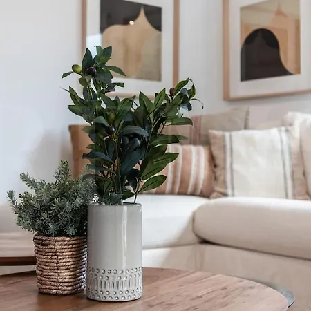 Apartament With Cathedral View & Terrace By Rems